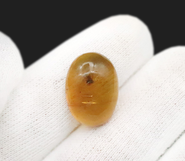 クモを内包！恐竜時代の生命を封じ込めた、世界屈指の古さを誇る琥珀「バーマイト（Burmite）」（その6）