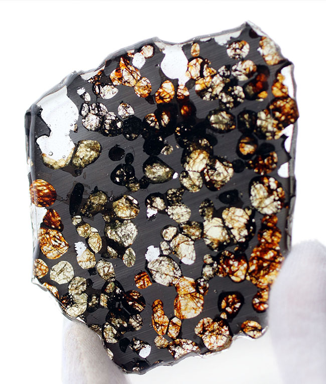 ベストクオリティ、おすすめ！黄と緑の中間色、オリーブ色を呈するかんらん石にご注目ください！２０１６年に発見された新しいパラサイト隕石、ケニヤ産パラサイト隕石（本体防錆処理済み）（その1）