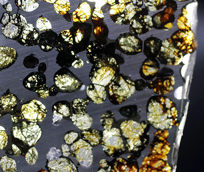 ベストクオリティ、おすすめ！黄と緑の中間色、オリーブ色を呈するかんらん石にご注目ください！２０１６年に発見された新しいパラサイト隕石、ケニヤ産パラサイト隕石（本体防錆処理済み）（その10）