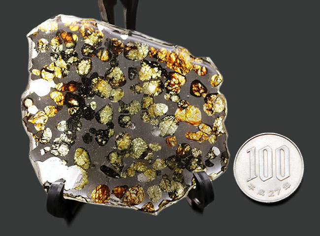 ベストクオリティ、おすすめ！黄と緑の中間色、オリーブ色を呈するかんらん石にご注目ください！２０１６年に発見された新しいパラサイト隕石、ケニヤ産パラサイト隕石（本体防錆処理済み）（その11）
