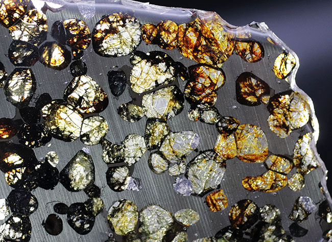 ベストクオリティ、おすすめ！黄と緑の中間色、オリーブ色を呈するかんらん石にご注目ください！２０１６年に発見された新しいパラサイト隕石、ケニヤ産パラサイト隕石（本体防錆処理済み）（その3）