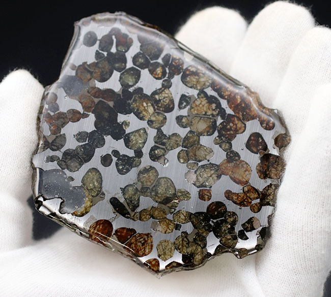ベストクオリティ、おすすめ！黄と緑の中間色、オリーブ色を呈するかんらん石にご注目ください！２０１６年に発見された新しいパラサイト隕石、ケニヤ産パラサイト隕石（本体防錆処理済み）（その5）