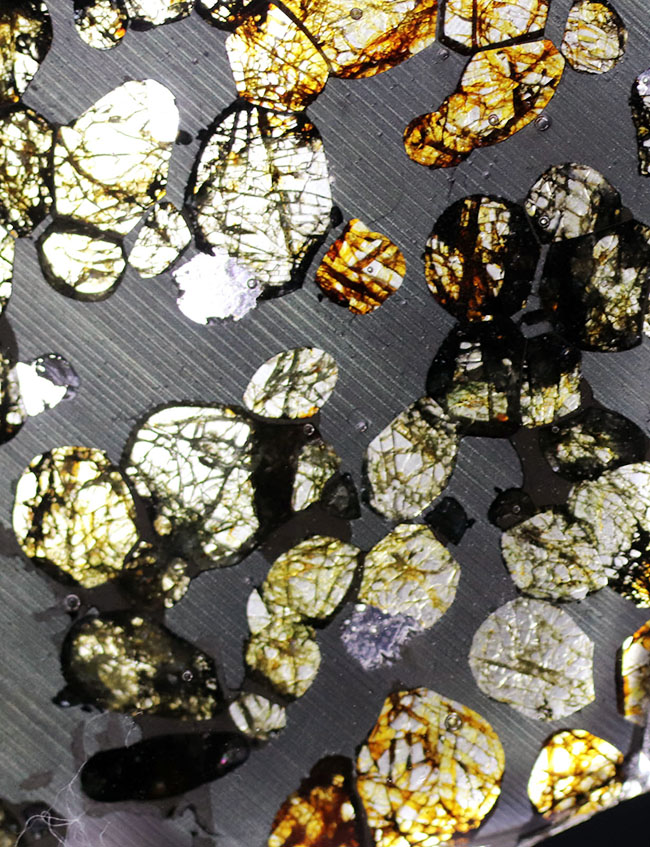 ベストクオリティ、おすすめ！黄と緑の中間色、オリーブ色を呈するかんらん石にご注目ください！２０１６年に発見された新しいパラサイト隕石、ケニヤ産パラサイト隕石（本体防錆処理済み）（その8）