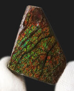 お客様の声　写真