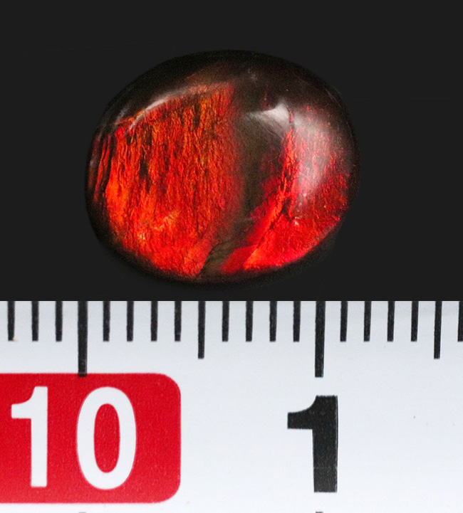ダイナミックな色の変化を楽しめる、上質のアンモライト(Ammolite)のカボションを使ったピンブローチ(その7)