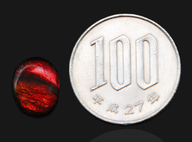 ダイナミックな色の変化を楽しめる、上質のアンモライト(Ammolite)のカボションを使ったピンブローチ(その8)