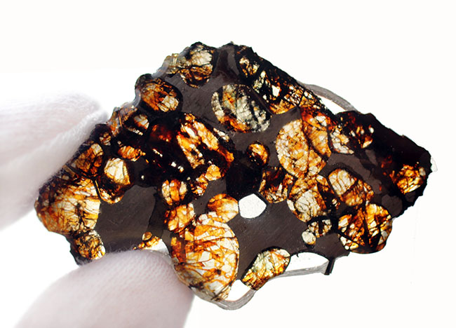 あのパラサイト隕石がリーズナブルなプライスで手に入るチャンス！２０１６年に発見された新しいパラサイト隕石、ケニヤ産パラサイト隕石（本体防錆処理済み）（その7）