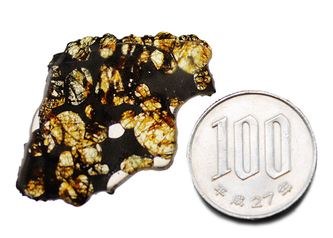 あのパラサイト隕石がリーズナブルなプライスで手に入るチャンス！２０１６年に発見された新しいパラサイト隕石、ケニヤ産パラサイト隕石（本体防錆処理済み）（その8）