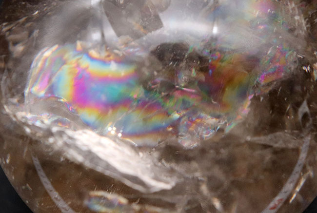 石像 石像｜サモトラケのニケ｜ホワイト｜Stone Figure｜NIKE｜HGE7029IB