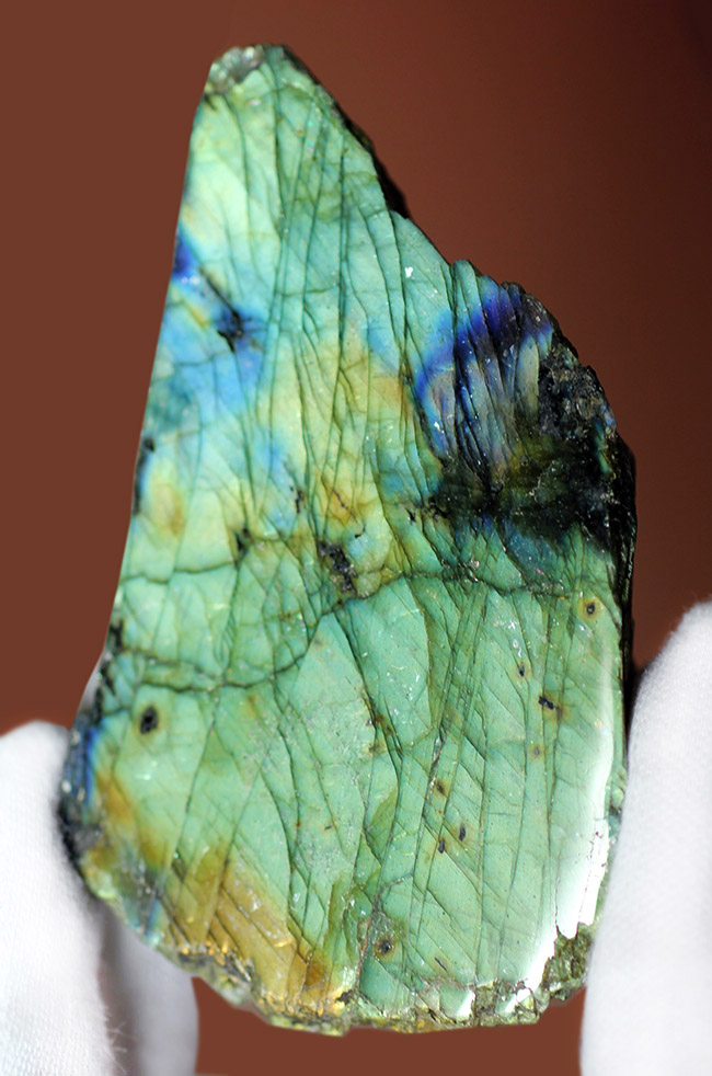 遊色効果で人気の鉱物、ラブラドライト(Labradorite)。シャンパンゴールドとブルー。(その2)