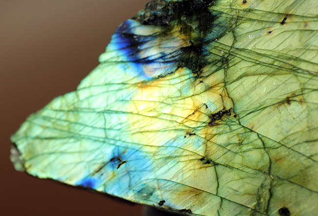 遊色効果で人気の鉱物、ラブラドライト(Labradorite)。シャンパンゴールドとブルー。(その4)