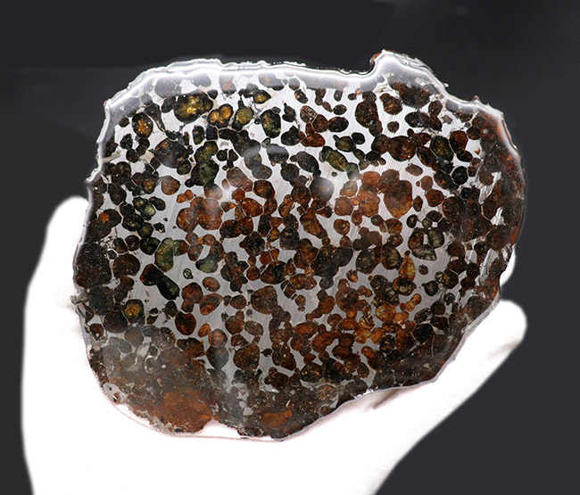 爛々と輝くかんらん石にご注目！厳選品！ハイクラス標本をお探し方に。２０１６年に発見された新しいパラサイト隕石、ケニヤ産パラサイト隕石（本体防錆処理済み）（その2）