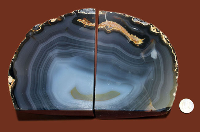 全体がブルーに染まったメノウ(Agate)。ブックエンドとしても利用可。(その10)