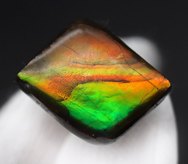 生物起源の宝石として人気急上昇中のアンモライト（Ammolite）を使ったピンブローチ（その4）