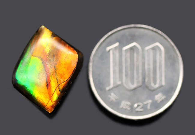 生物起源の宝石として人気急上昇中のアンモライト（Ammolite）を使ったピンブローチ（その7）