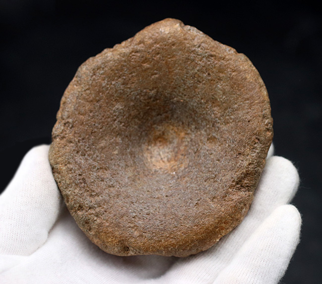 ジュラ紀の水生爬虫類(魚竜もしくは首長竜のもの)と思しき椎体の化石(その6)