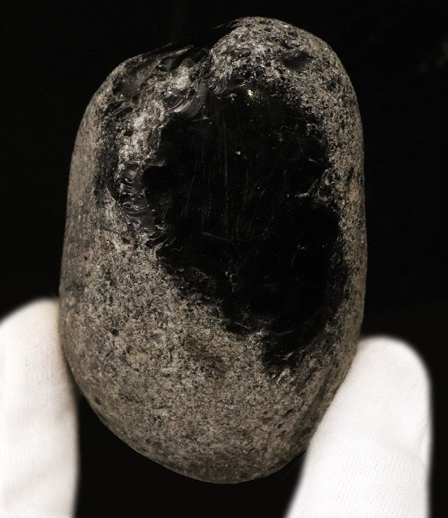 化石セブン初登場!古代の人々がナイフを作った素材、北海道産の美しき黒曜石(その2)