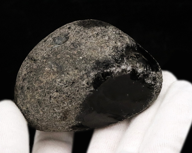 化石セブン初登場!古代の人々がナイフを作った素材、北海道産の美しき黒曜石(その5)