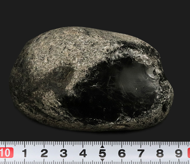 化石セブン初登場!古代の人々がナイフを作った素材、北海道産の美しき黒曜石(その7)
