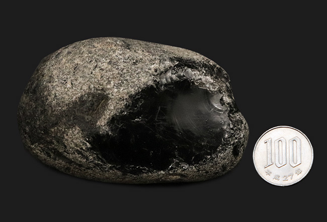 化石セブン初登場!古代の人々がナイフを作った素材、北海道産の美しき黒曜石(その8)