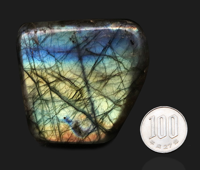 発色良し!ブルーとシャンパンゴールドのグラデーションが美しい!マダガスカル産のラブラドライト(Labradorite)の厳選標本(その8)