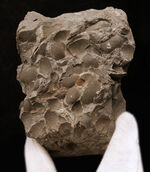 お客様の声　写真