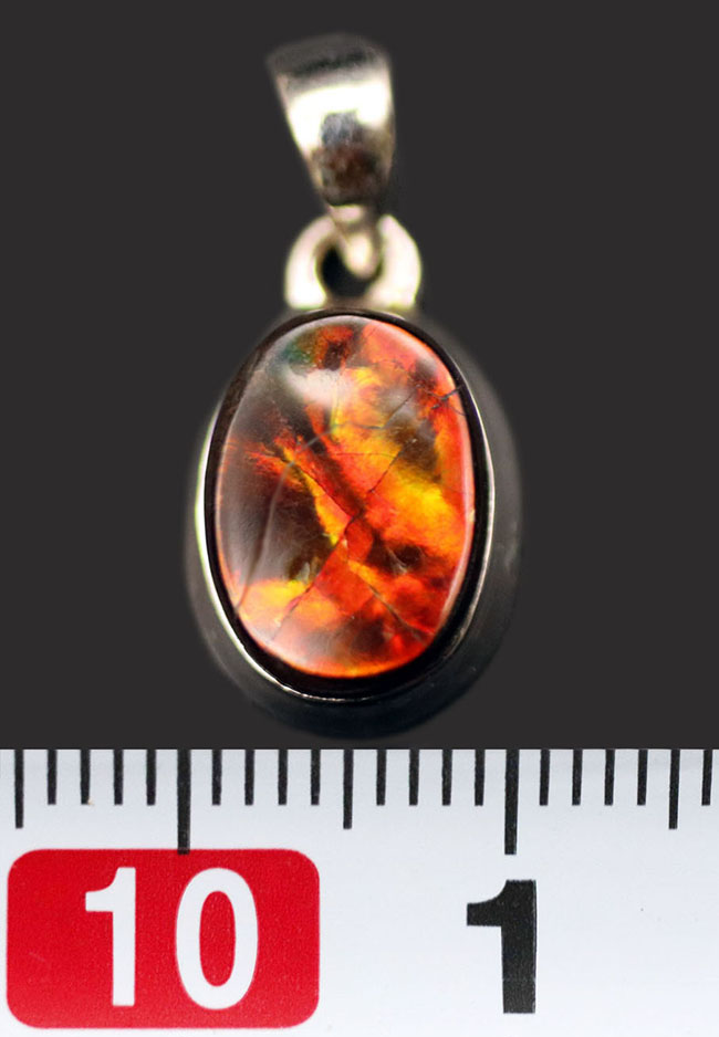 赤と思いきや鮮やかな緑が顔をのぞかせます!アンモライトを使ったペンダントトップ(Ammolite)。金具はスターリングシルバー。チェーン、革紐、ジュエリーケース付き(その8)