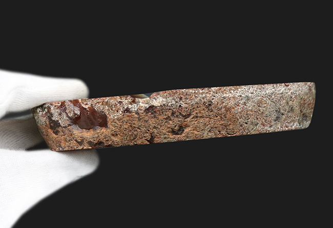 鉱物コレクションとしてはもちろん小物入れとしても使えるブラジル産の縞瑪瑙（Agate）（その6）