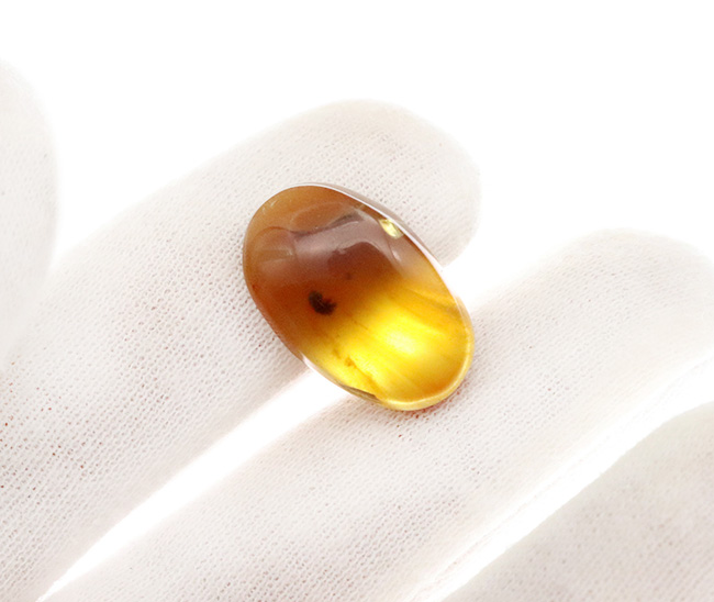 なめらかで美しい基質が作り出す幻想的な色合いにご注目！1匹の虫がポツンと内包された、虫入りバーマイト（Burmite）（その3）