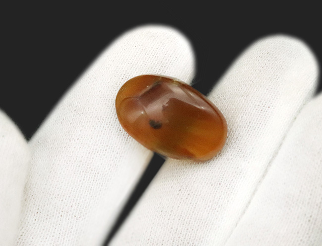 なめらかで美しい基質が作り出す幻想的な色合いにご注目！1匹の虫がポツンと内包された、虫入りバーマイト（Burmite）（その4）