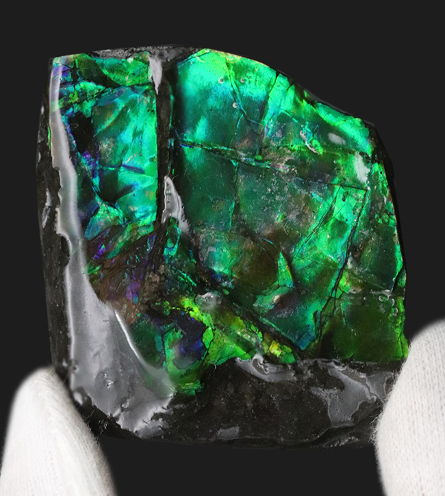ブリリアントカラー!まばゆいばかりに輝く、宝石アンモライト(Ammolite)のピース(その1)