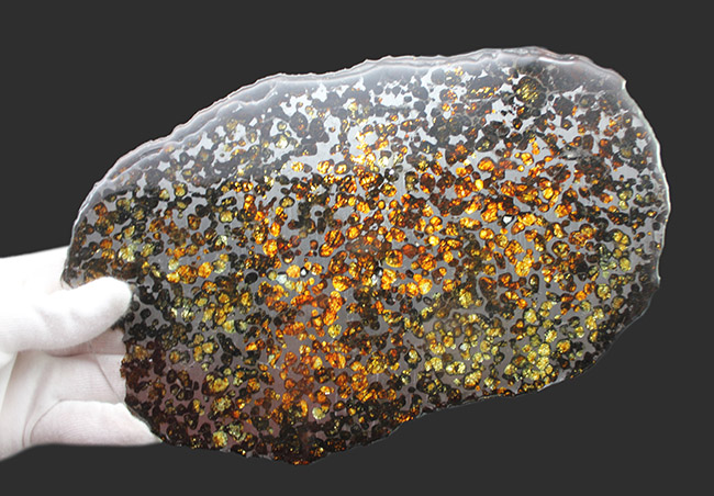 驚愕の一言！最大幅２５センチ！ケニア・セリコ産のメガサイズのパラサイト隕石（本体防錆処理済み）。かんらん石の保存状態も極めて良好（その11）