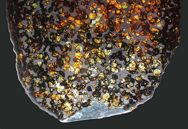 驚愕の一言！最大幅２５センチ！ケニア・セリコ産のメガサイズのパラサイト隕石（本体防錆処理済み）。かんらん石の保存状態も極めて良好（その4）