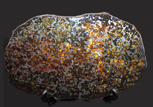 驚愕の一言！最大幅２５センチ！ケニア・セリコ産のメガサイズのパラサイト隕石（本体防錆処理済み）。かんらん石の保存状態も極めて良好（その5）