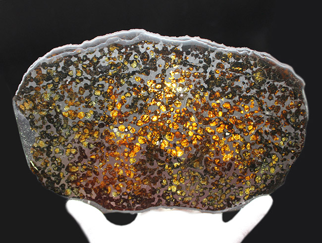 驚愕の一言！最大幅２５センチ！ケニア・セリコ産のメガサイズのパラサイト隕石（本体防錆処理済み）。かんらん石の保存状態も極めて良好（その7）