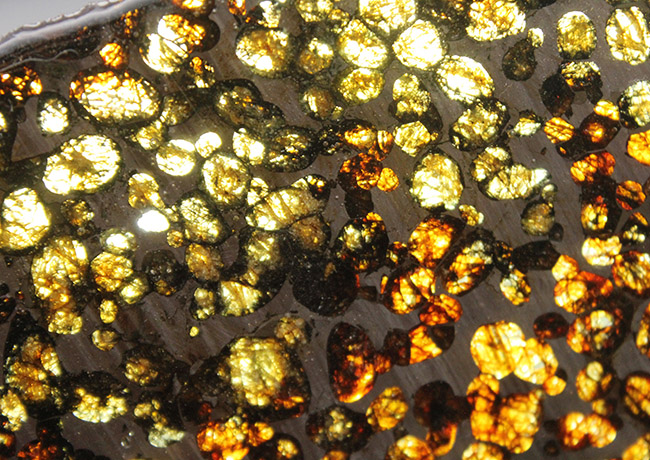 驚愕の一言！最大幅２５センチ！ケニア・セリコ産のメガサイズのパラサイト隕石（本体防錆処理済み）。かんらん石の保存状態も極めて良好（その8）