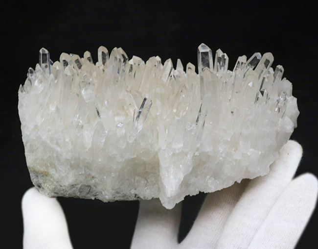 ６００グラム超え！極めて透明度の高い石英が無数に結晶成長した水晶（Quartz）のクラスター標本（その4）