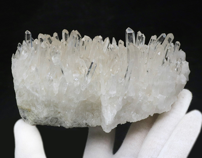 600グラム超え!極めて透明度の高い石英が無数に結晶成長した水晶(Quartz)のクラスター標本(その4)