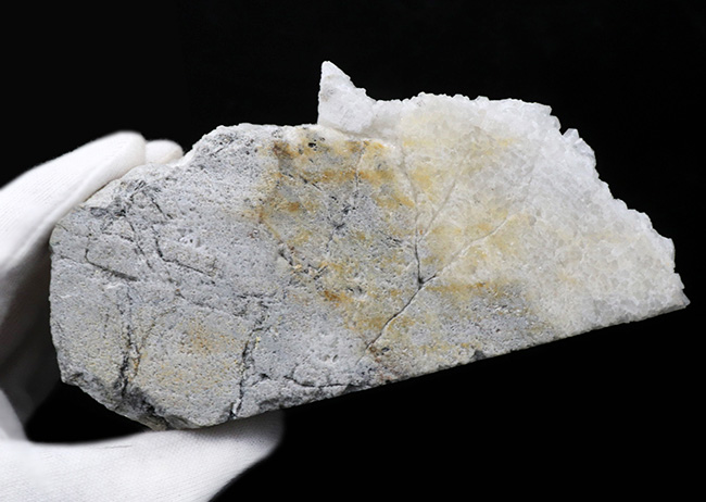 ６００グラム超え！極めて透明度の高い石英が無数に結晶成長した水晶（Quartz）のクラスター標本（その6）