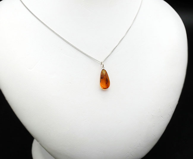 虫入り!世界最古の宝石とも言われる、バルト海産琥珀(Amber)を使ったペンダントトップ(シルバーチェーン、高級ジュエリーケース付き。)(その2)