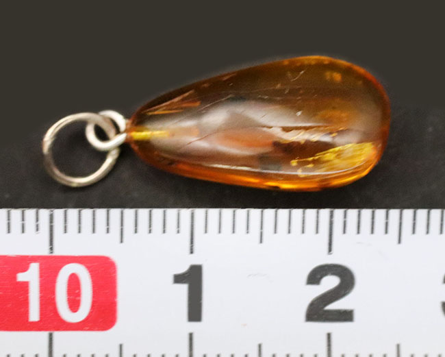 虫入り!世界最古の宝石とも言われる、バルト海産琥珀(Amber)を使ったペンダントトップ(シルバーチェーン、高級ジュエリーケース付き。)(その7)