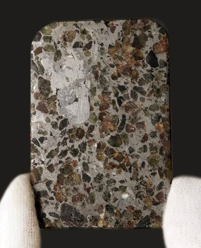薄くカットされたタイプ、石と鉄が共存する不思議な隕石、パラサイト（その1）
