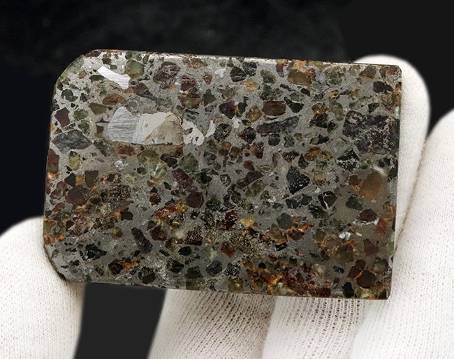 薄くカットされたタイプ、石と鉄が共存する不思議な隕石、パラサイト（その2）
