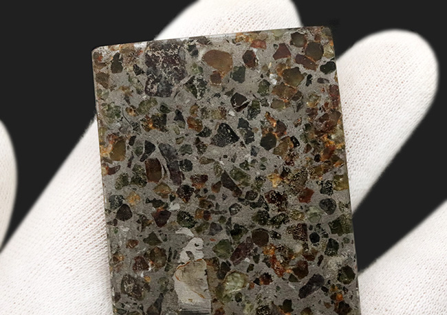 薄くカットされたタイプ、石と鉄が共存する不思議な隕石、パラサイト（その3）