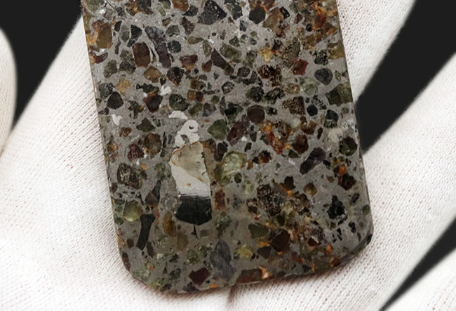 薄くカットされたタイプ、石と鉄が共存する不思議な隕石、パラサイト（その4）