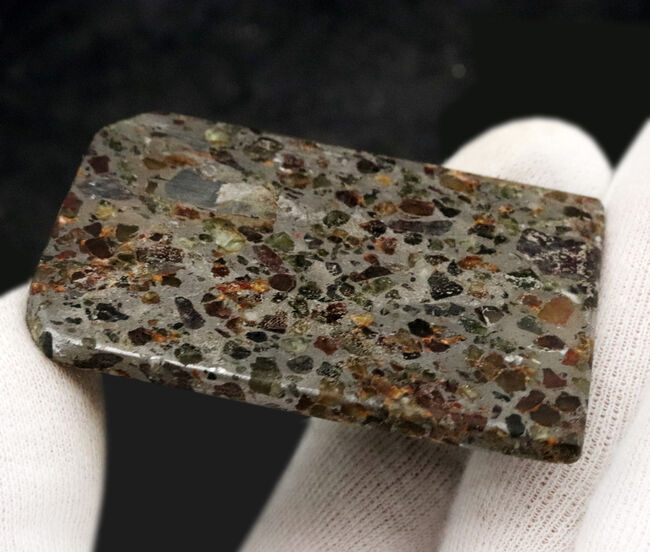 薄くカットされたタイプ、石と鉄が共存する不思議な隕石、パラサイト（その5）