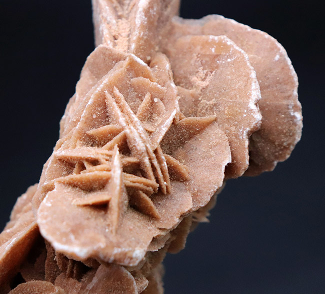 大きい！自然が生み出したアート作品、デザートローズこと、砂漠のバラ