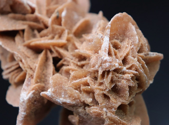 大きい！自然が生み出したアート作品、デザートローズこと、砂漠のバラ