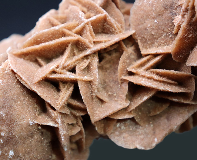 大きい！自然が生み出したアート作品、デザートローズこと、砂漠のバラ