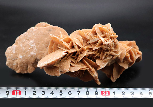 大きい！自然が生み出したアート作品、デザートローズこと、砂漠のバラ